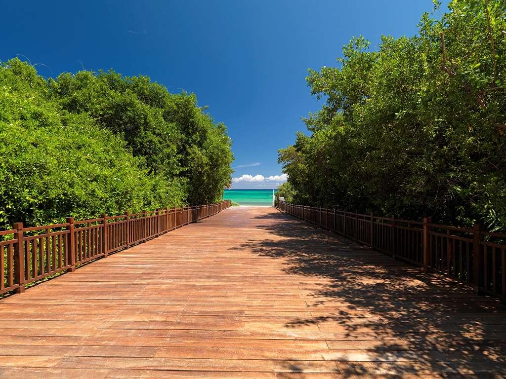 The Reserve Paradisus Playa Del Carmen (Adults Only) Alam Semulajadi gambar