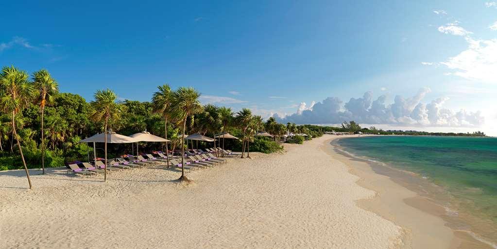 The Reserve Paradisus Playa Del Carmen (Adults Only) Alam Semulajadi gambar